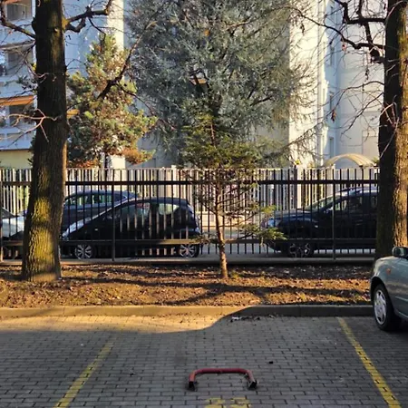 Primopiano - Palmaria Apartment *